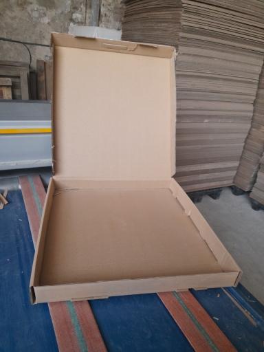 عکس کارتن سازی آریو