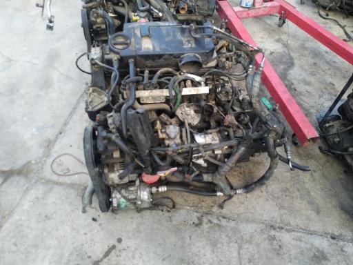 عکس اوراقی زهره 