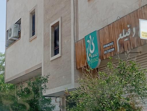 عکس عکس و فیلم کاج