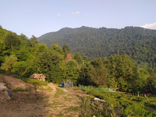 عکس جانشرود