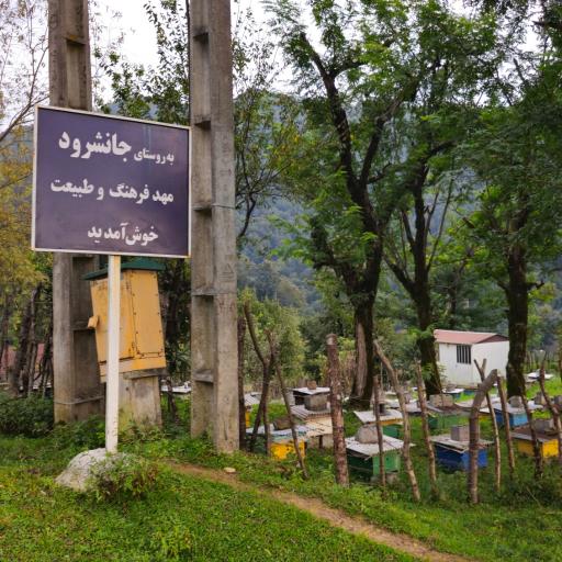 جانشرود
