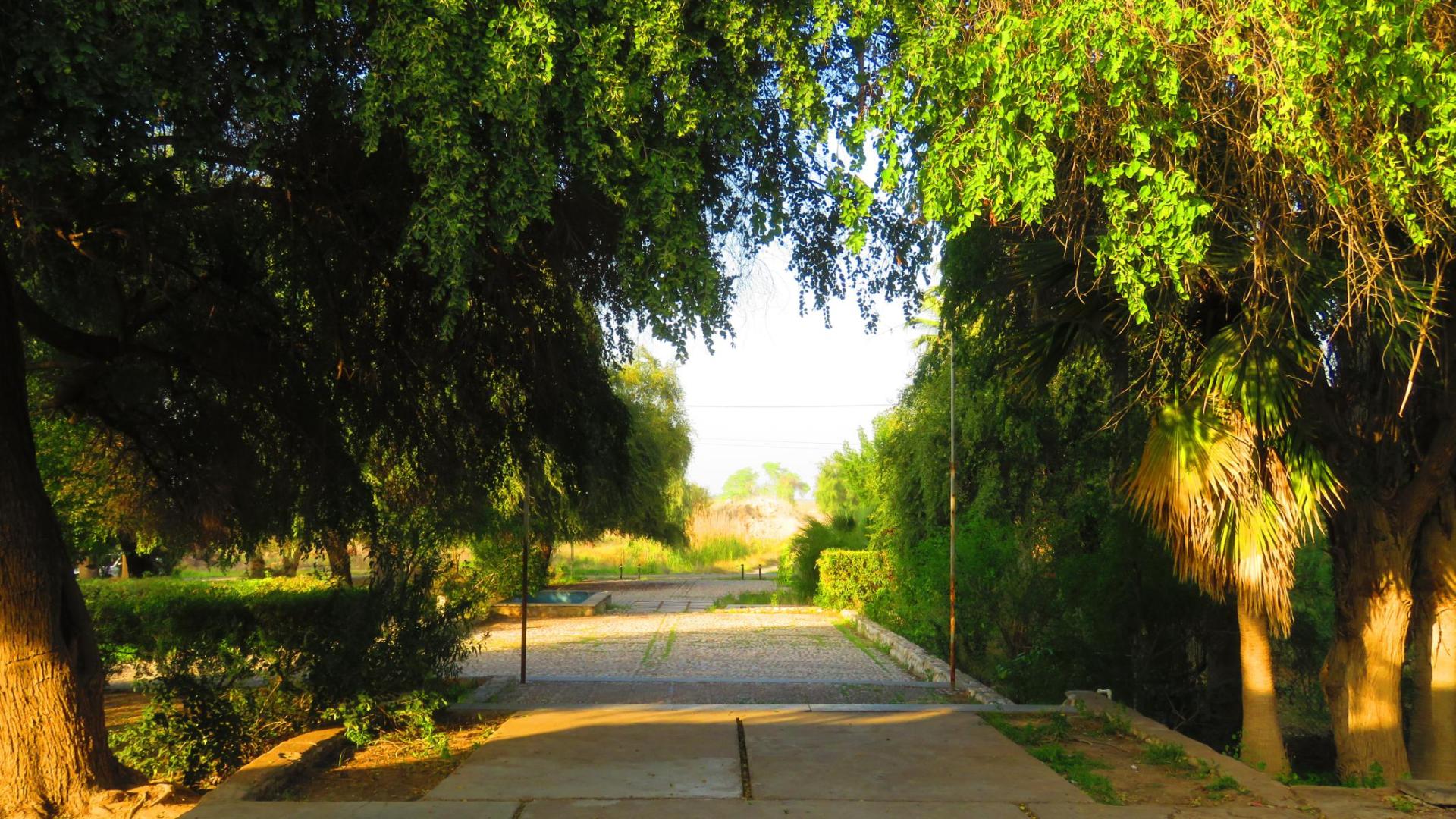 عکس بوستان عمومی موزه هفت تپه