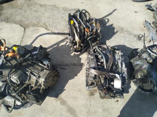 عکس اوراقی زهره 