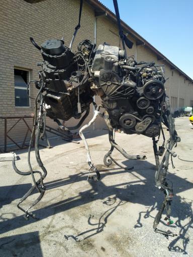 عکس اوراقی زهره 