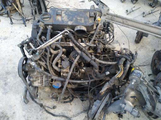 عکس اوراقی زهره 