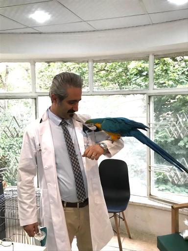 عکس کلینیک تخصصی پرندگان دکتر فتاحی