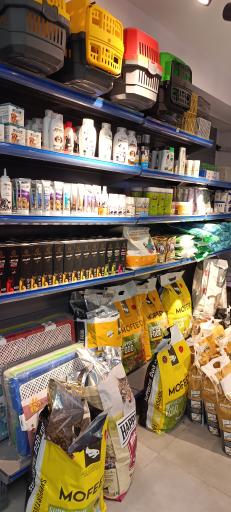 عکس بیمارستان دامپزشکی سلامت