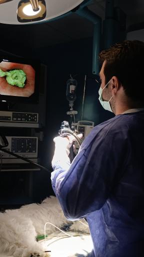 عکس بیمارستان دامپزشکی سلامت