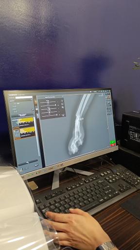 عکس بیمارستان دامپزشکی سلامت