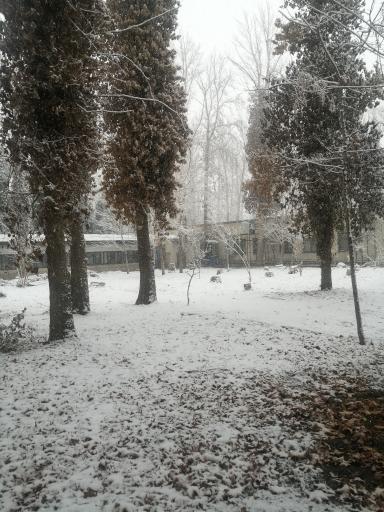 عکس مجتمع صنعتی تیبا 