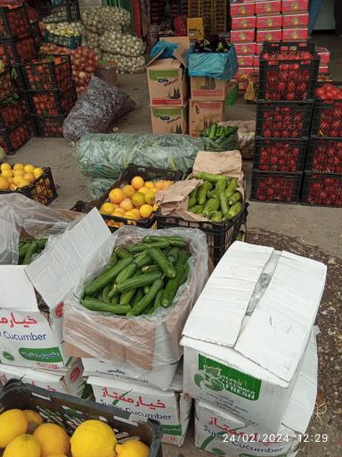 عکس میدان مرکزی میوه و تره بار