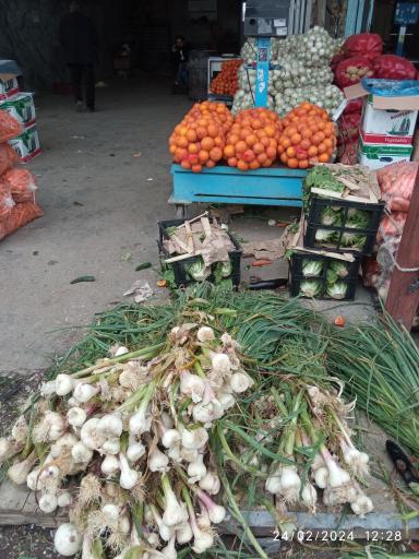 عکس میدان مرکزی میوه و تره بار