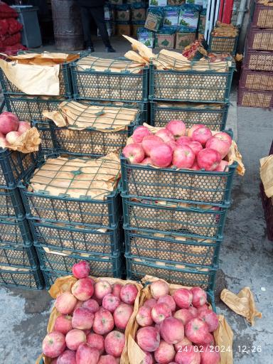 عکس میدان مرکزی میوه و تره بار