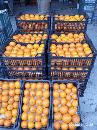 عکس میدان مرکزی میوه و تره بار