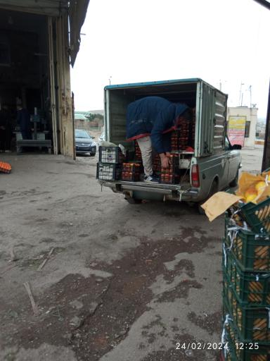 عکس میدان مرکزی میوه و تره بار