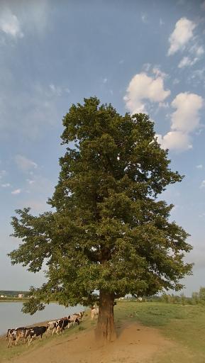 عکس آب بندان سرکاج