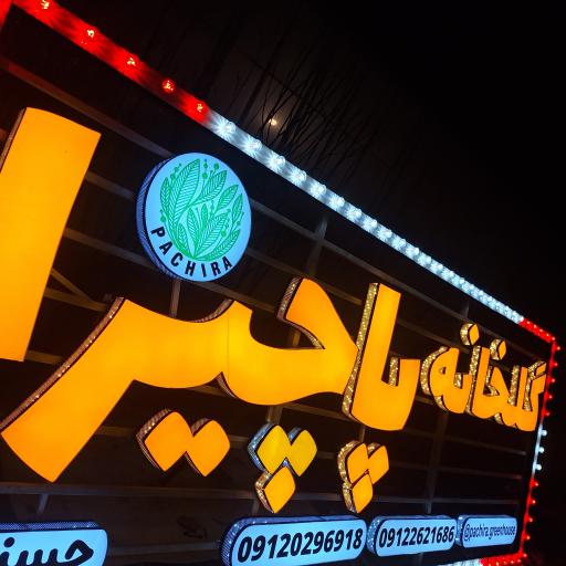 عکس گلخانه پاچیرا 