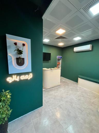 عکس کترینگ ترمه بانو