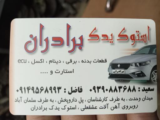 عکس استوک یدک برادران