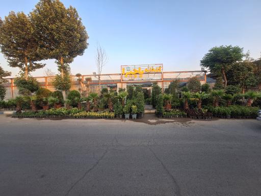 عکس گلخانه پاچیرا 