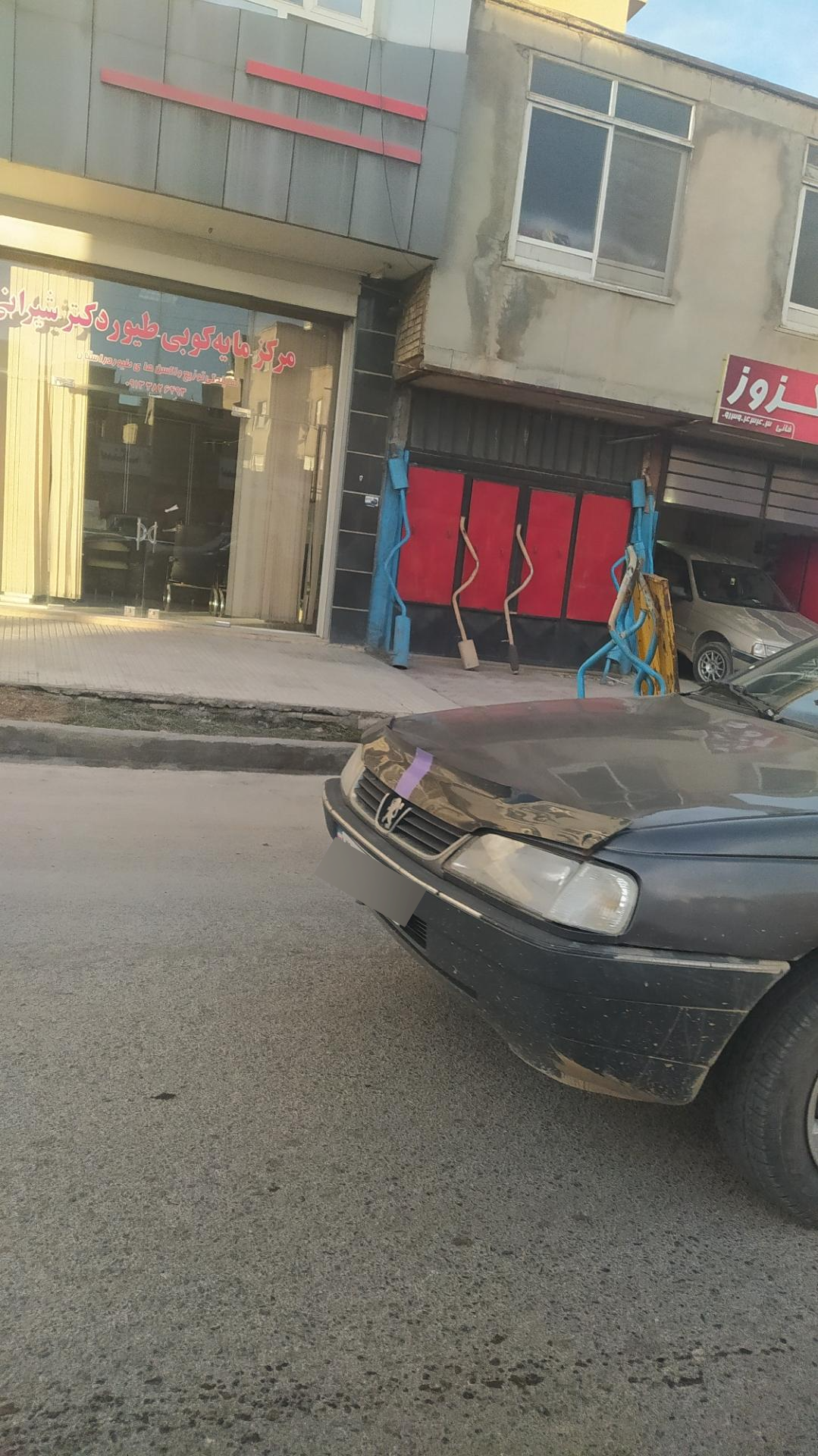 عکس مایه کوبی دکتر شیروانی 