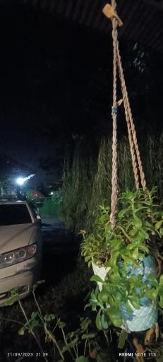 عکس اقامتگاه گردشگری دیلمای