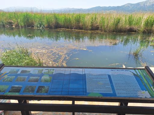 عکس پارک زریوار