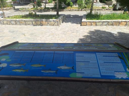 عکس پارک زریوار