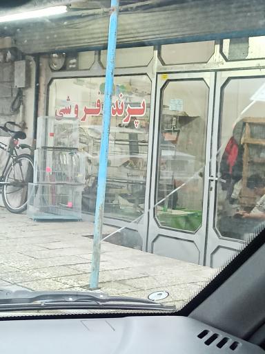 عکس پرنده فروشی 