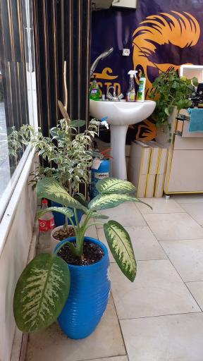 عکس پیرایش یوسف زنگنه