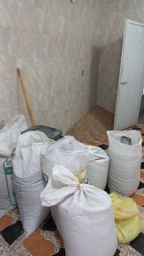 عکس پسته فروشی رشیدی