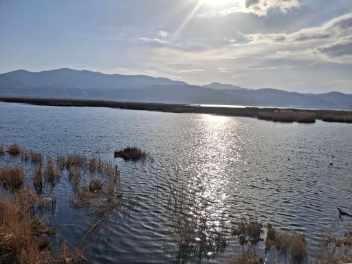 عکس پارک زریوار