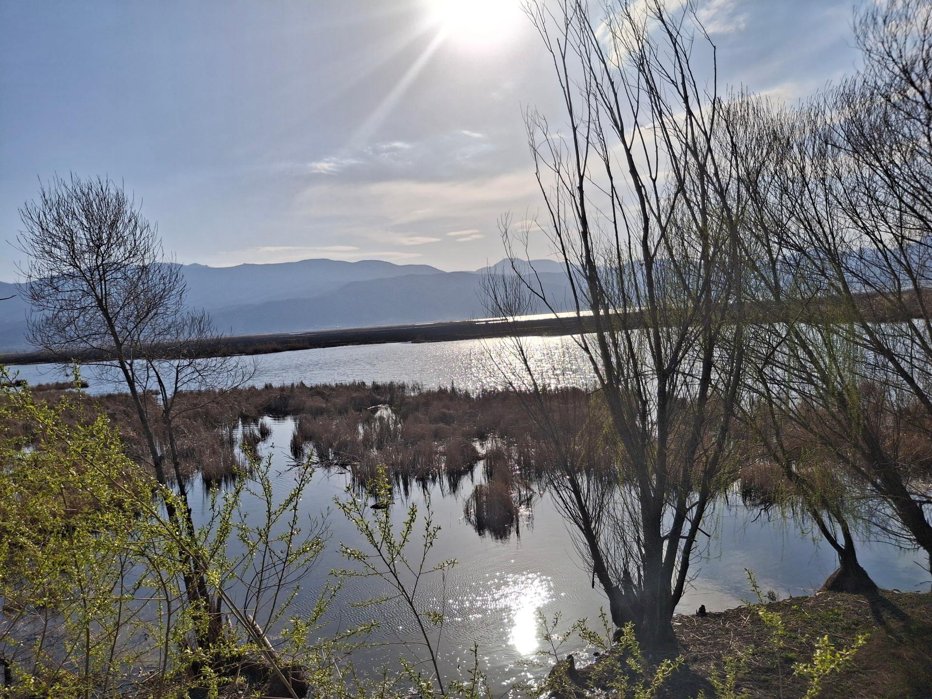 عکس پارک زریوار