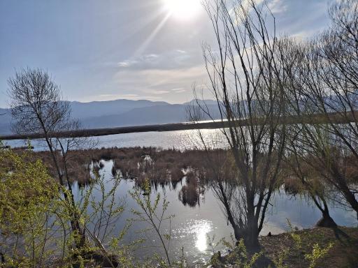 عکس پارک زریوار