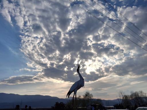 عکس پارک زریوار