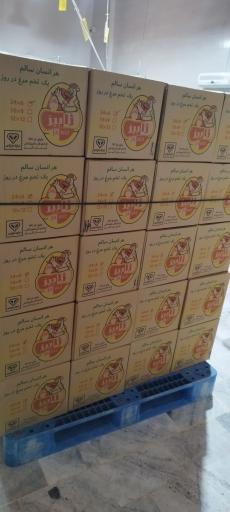 عکس شرکت ژابیز