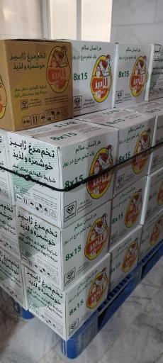 عکس شرکت ژابیز