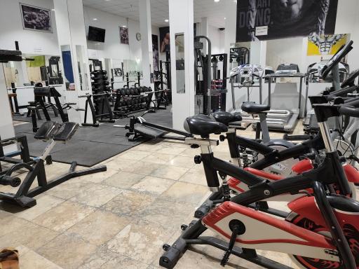 عکس مجموعه ورزشی یاور