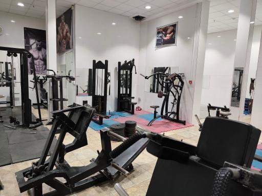 عکس مجموعه ورزشی یاور