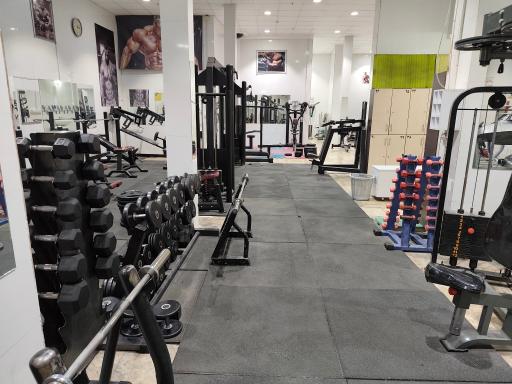 عکس مجموعه ورزشی یاور