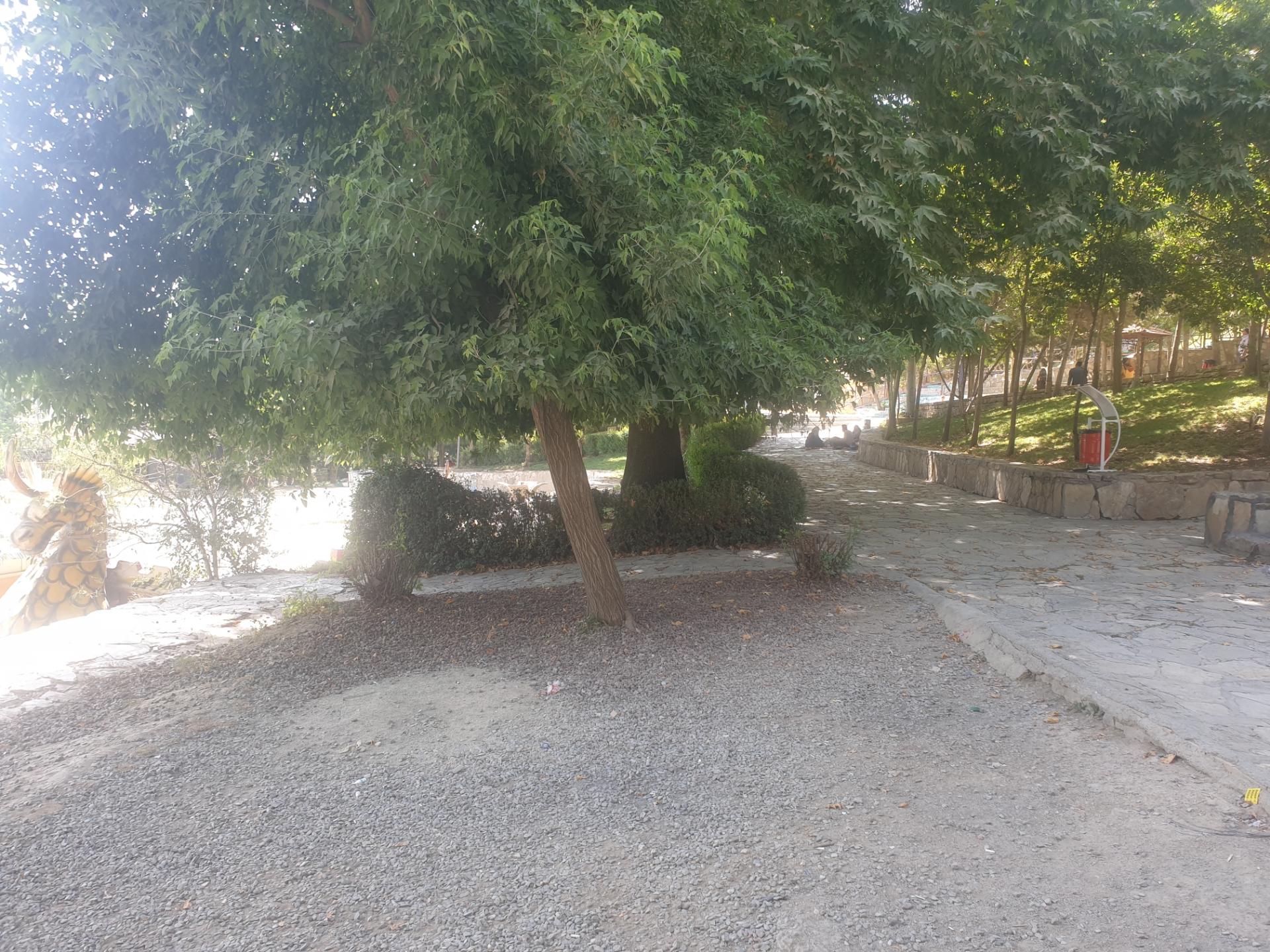 عکس پارک زریوار