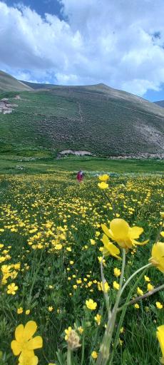 عکس دره لیقوان