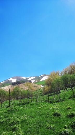 عکس دره لیقوان