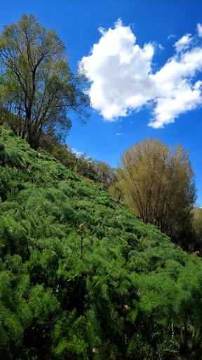 عکس دره لیقوان