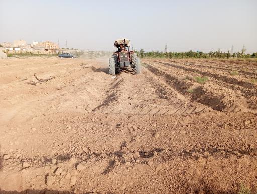 عکس کشت و صنعت امین الملک 