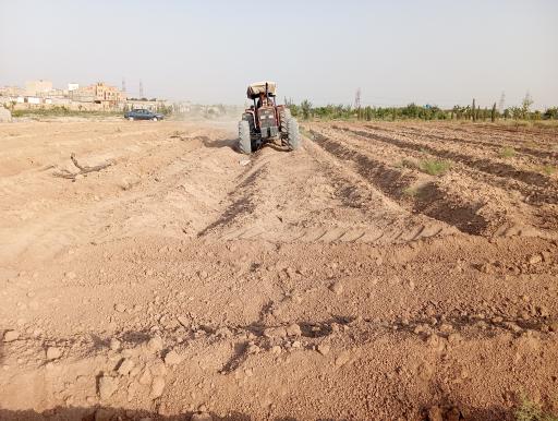 عکس کشت و صنعت امین الملک 