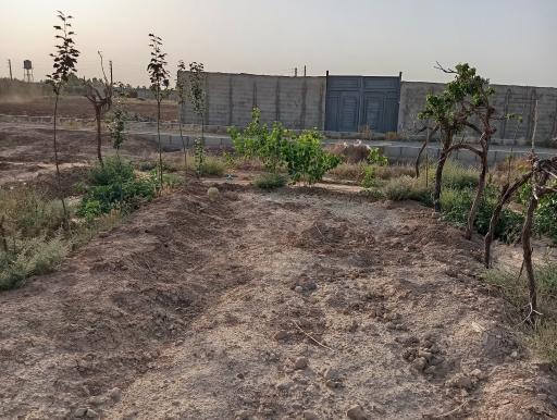 عکس کشت و صنعت امین الملک 