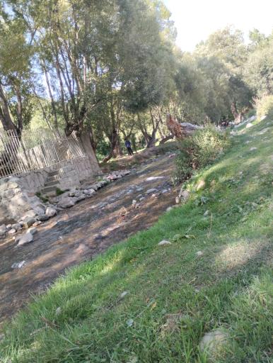 عکس دره لیقوان