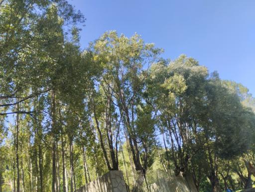 عکس دره لیقوان