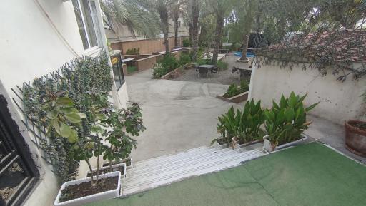 عکس کافه پالما